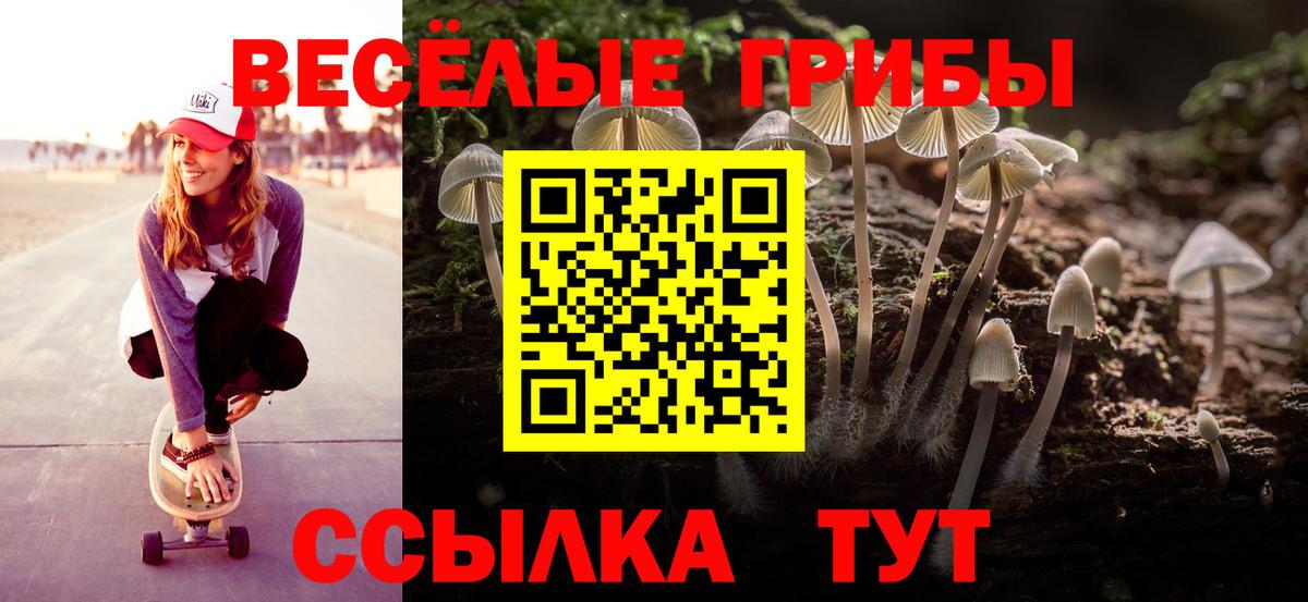 дарнет шоп  Вход с VPN  Феодосия  Псилоцибиновые грибы мухоморы 